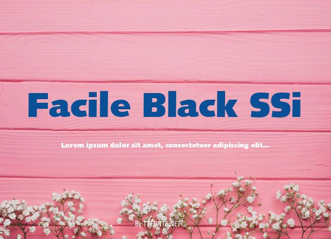 Facile Black SSi example