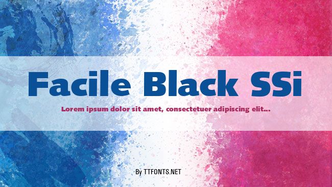 Facile Black SSi example