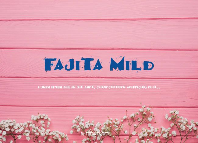 Fajita Mild example