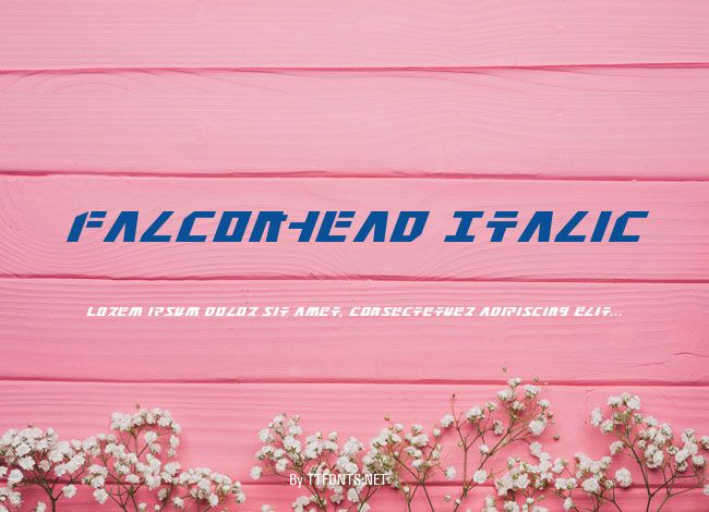 Falconhead Italic example