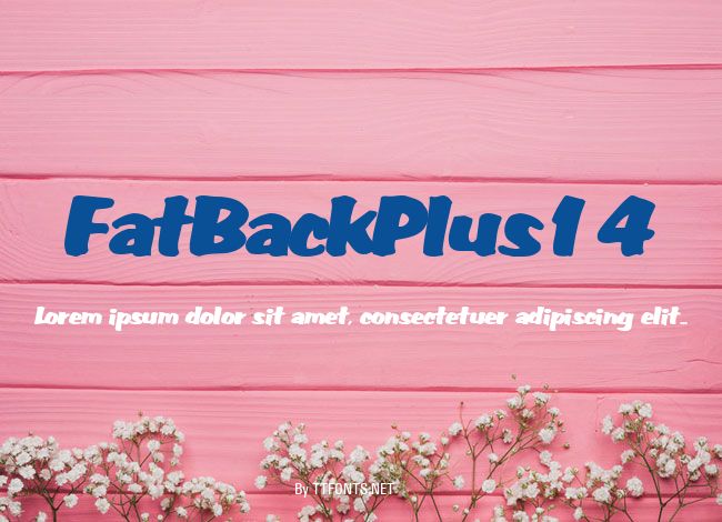 FatBackPlus14 example