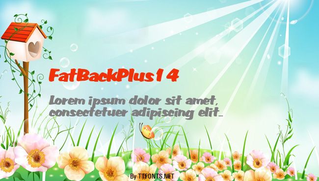 FatBackPlus14 example