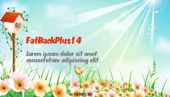FatBackPlus14 example