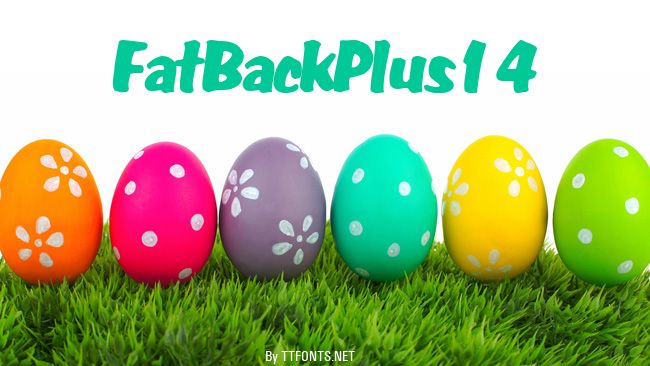 FatBackPlus14 example