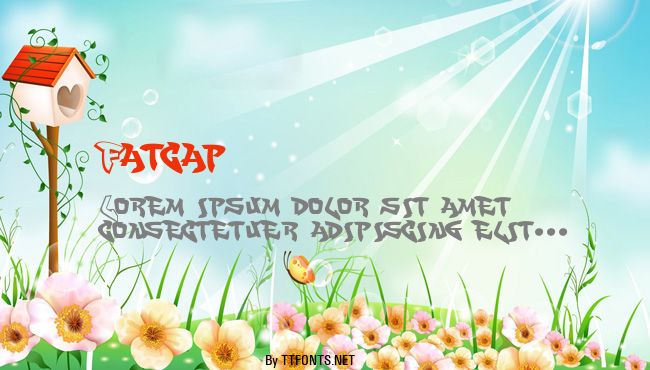 Fatcap example