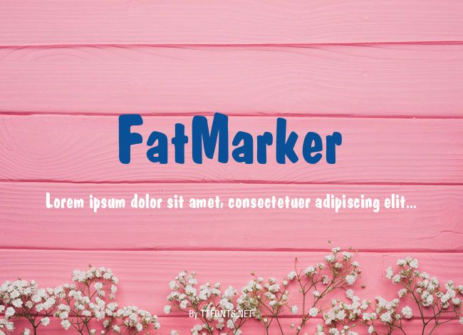 FatMarker example