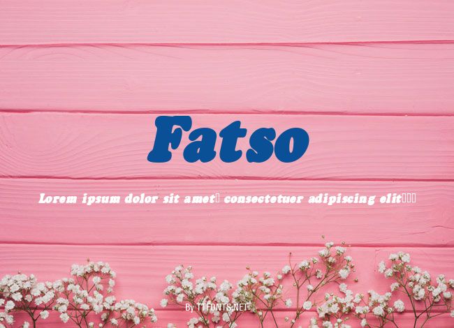 Fatso example
