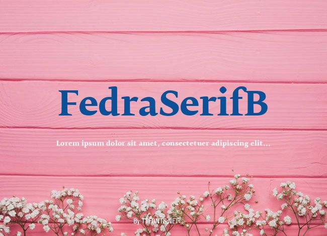FedraSerifB example