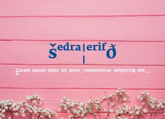 FedraSerifB example