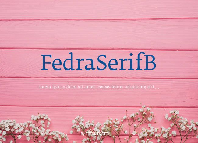 FedraSerifB example