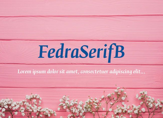 FedraSerifB example