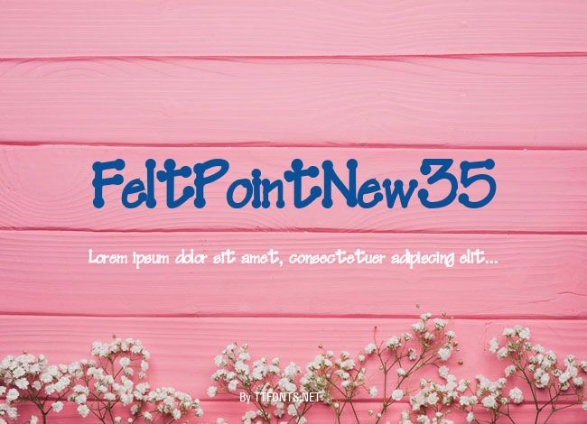 FeltPointNew35 example