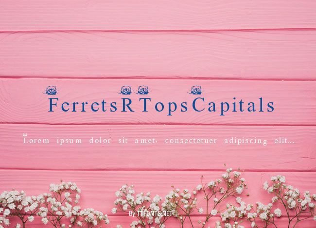 FerretsRTopsCapitals example