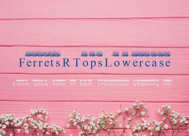 FerretsRTopsLowercase example