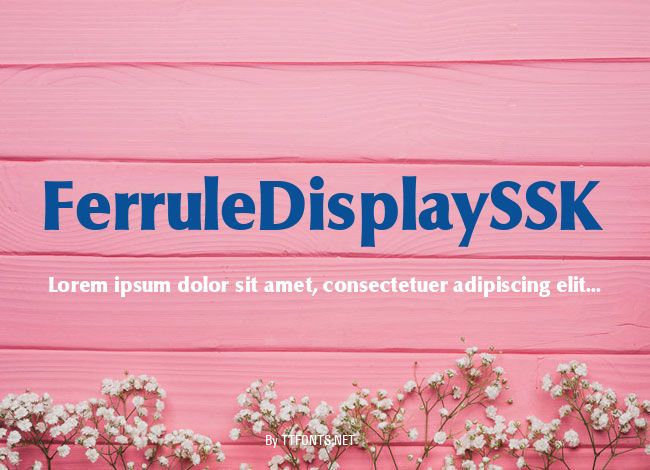 FerruleDisplaySSK example