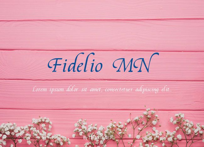 Fidelio MN example