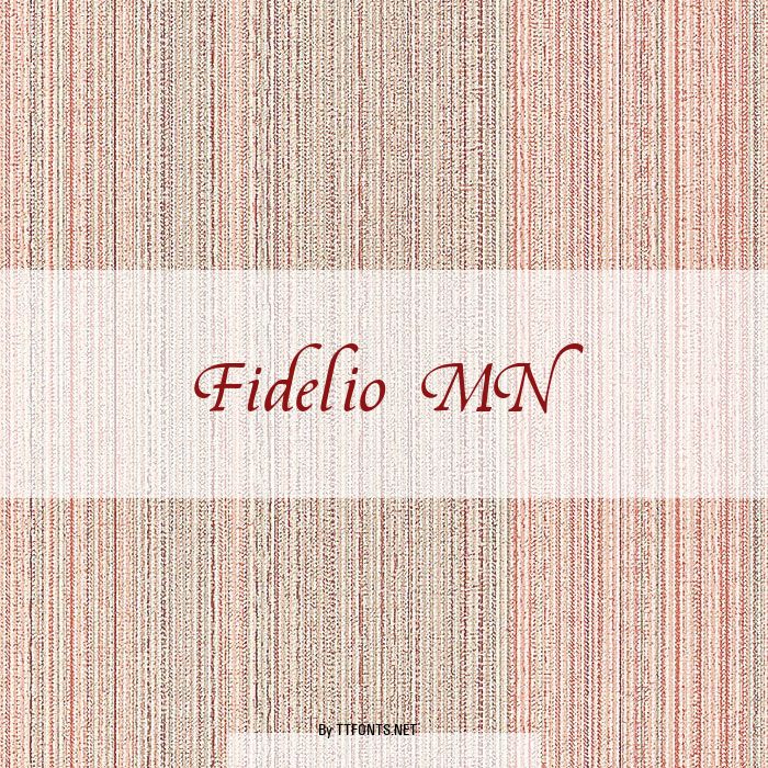 Fidelio MN example