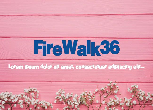 FireWalk36 example