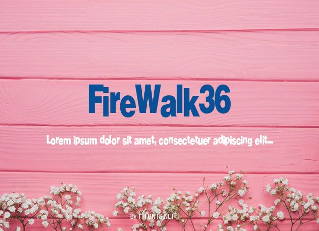 FireWalk36 example