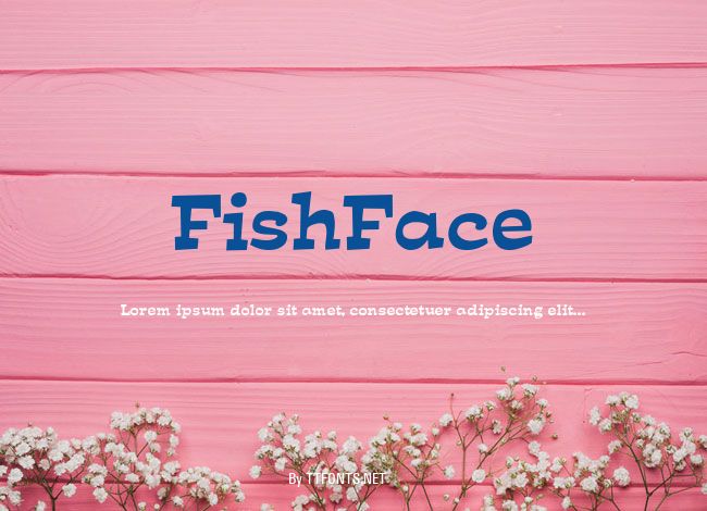 FishFace example