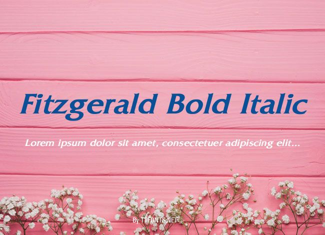Fitzgerald Bold Italic example