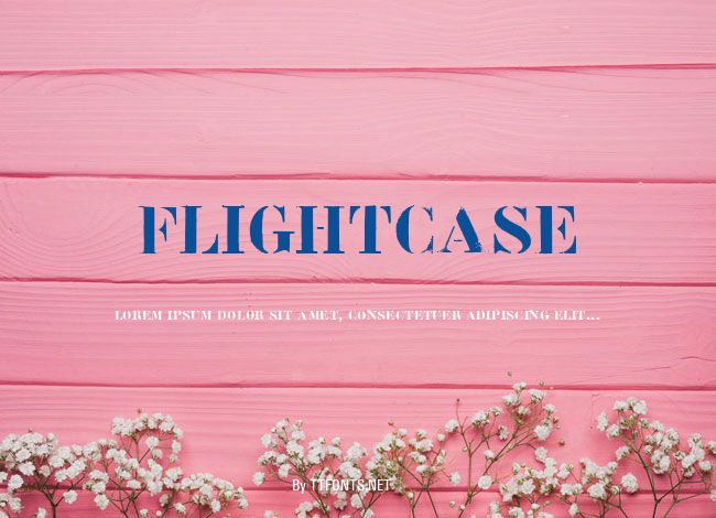 Flightcase example