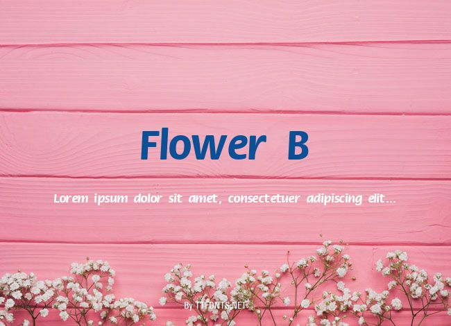 Flower B example