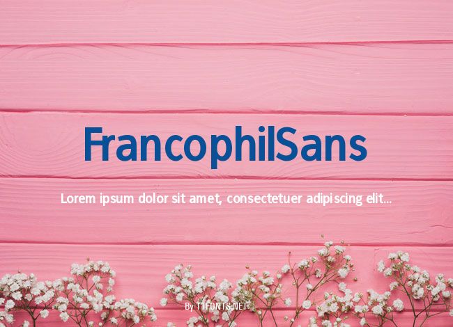 FrancophilSans example
