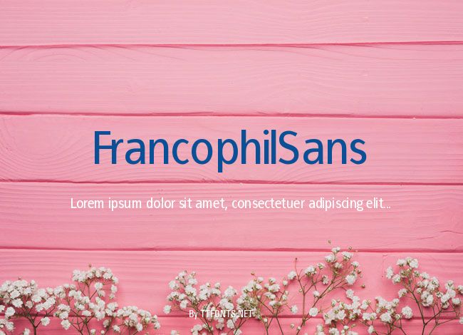 FrancophilSans example