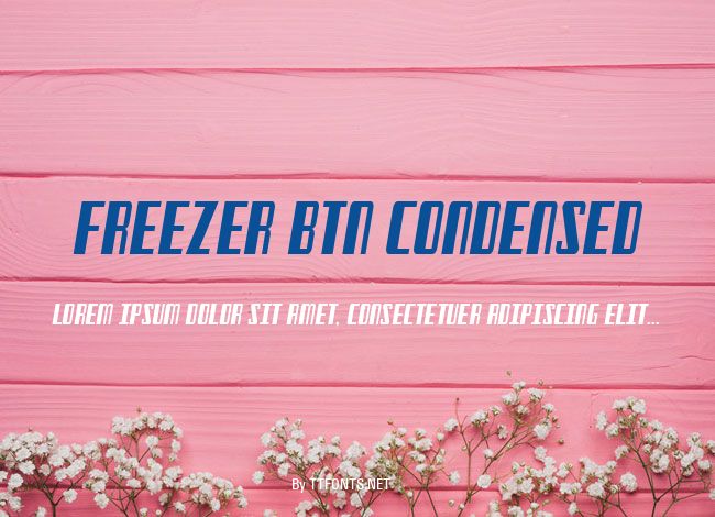 Freezer BTN Condensed example