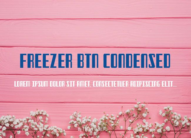 Freezer BTN Condensed example