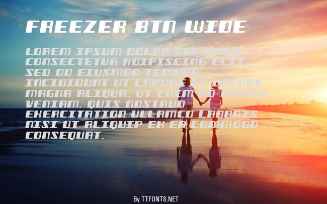 Freezer BTN Wide example