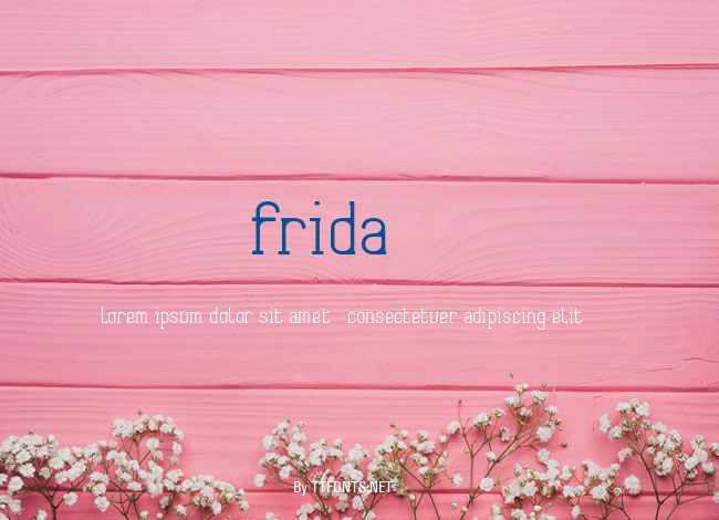 Frida01 example