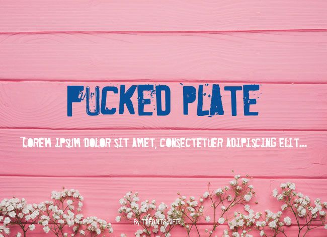 Fucked Plate example