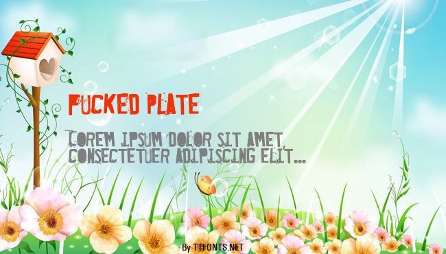 Fucked Plate example
