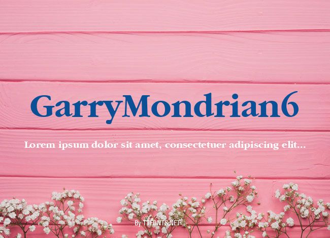 GarryMondrian6 example