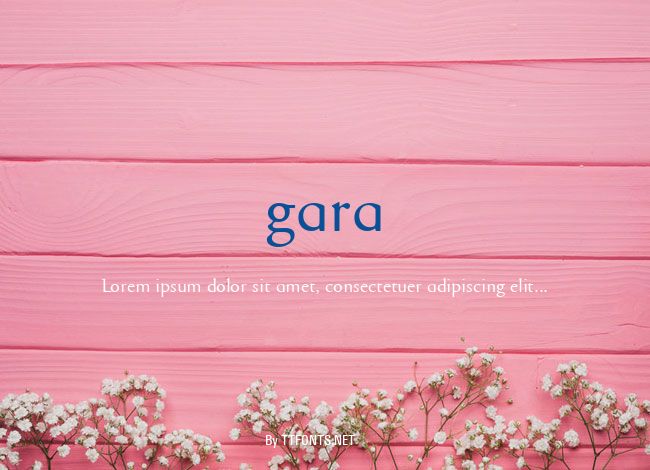 gara example