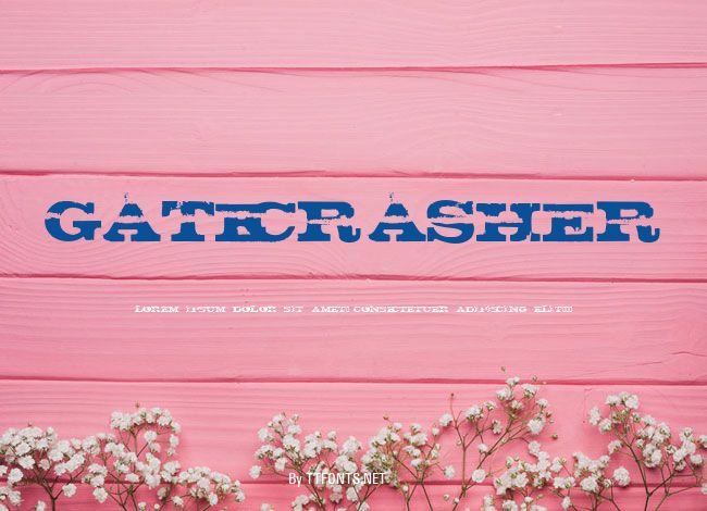 gatecrasher example