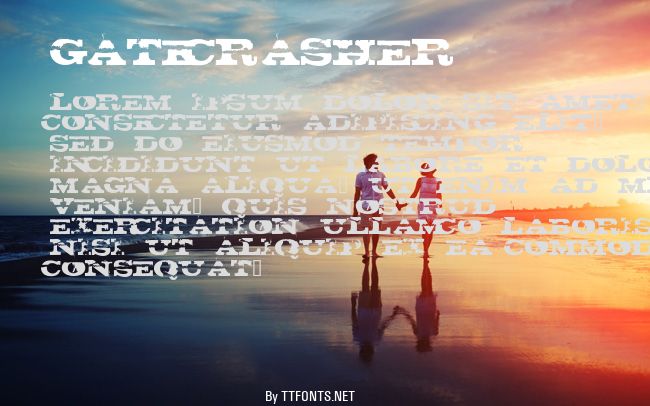 gatecrasher example