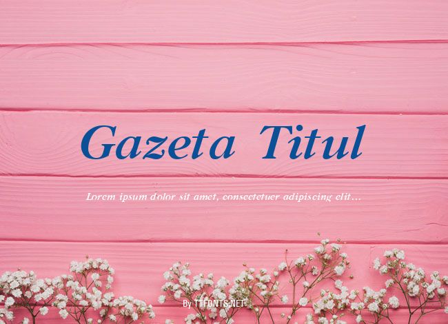 Gazeta Titul example