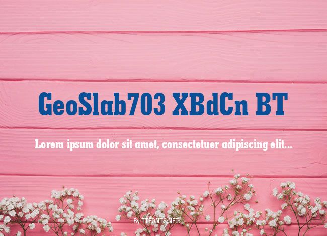 GeoSlab703 XBdCn BT example