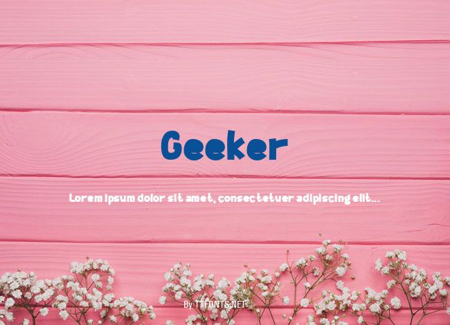 Geeker example