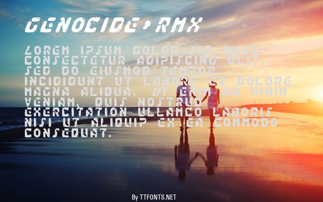 GENOCIDE_RMX example