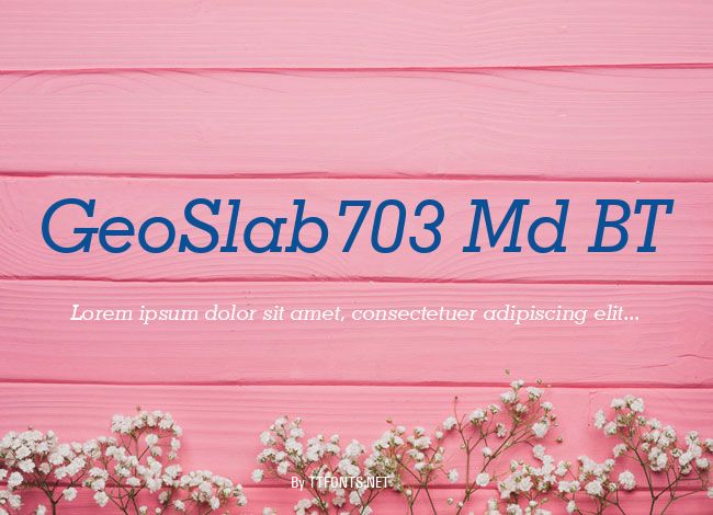 GeoSlab703 Md BT example