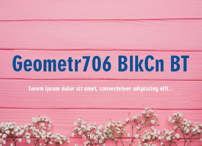 Geometr706 BlkCn BT example