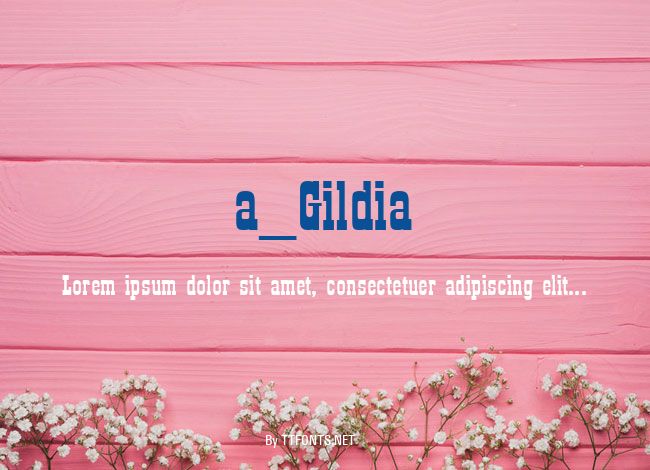 a_Gildia example