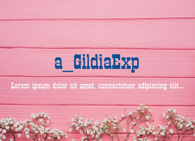 a_GildiaExp example