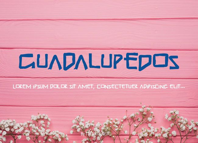 GuadalupeDos example