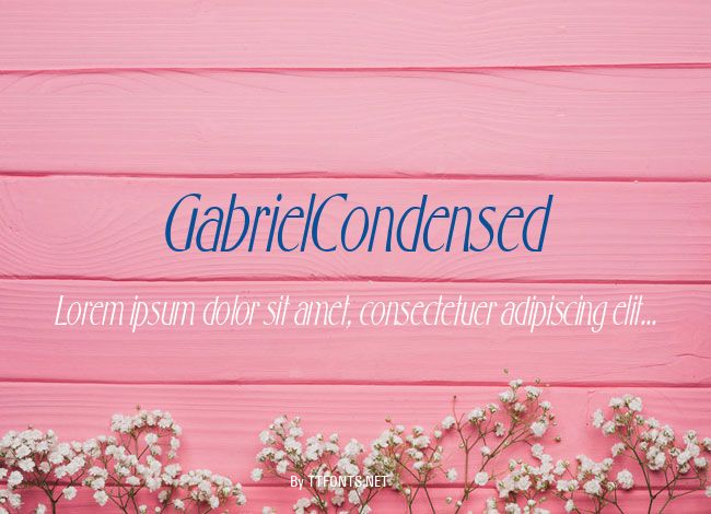 GabrielCondensed example