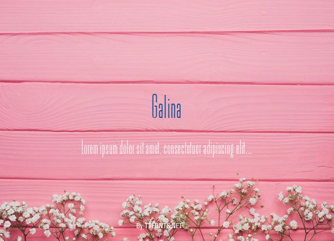 Galina example